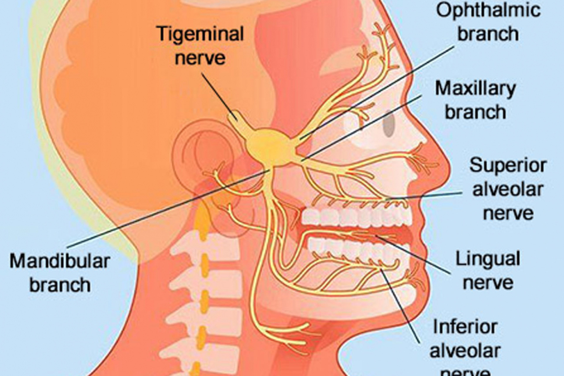 TMJ disorders