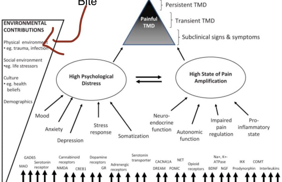 tmj disorders